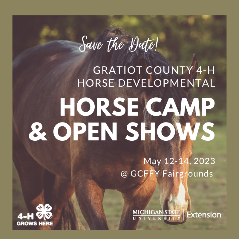 horse camp show graphic